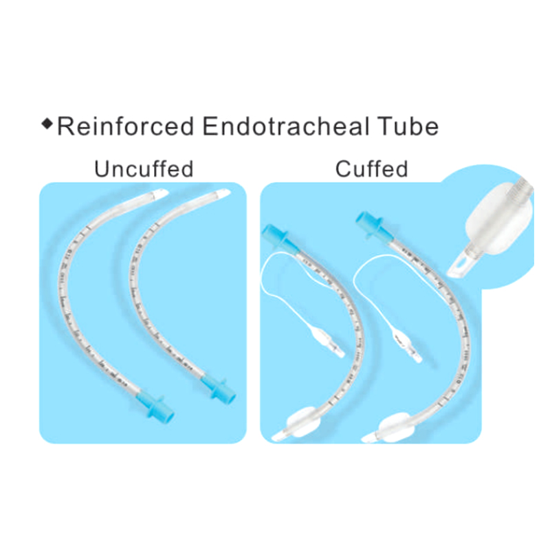 Tube endotrachéal